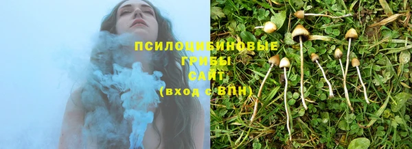 дживик Алексеевка